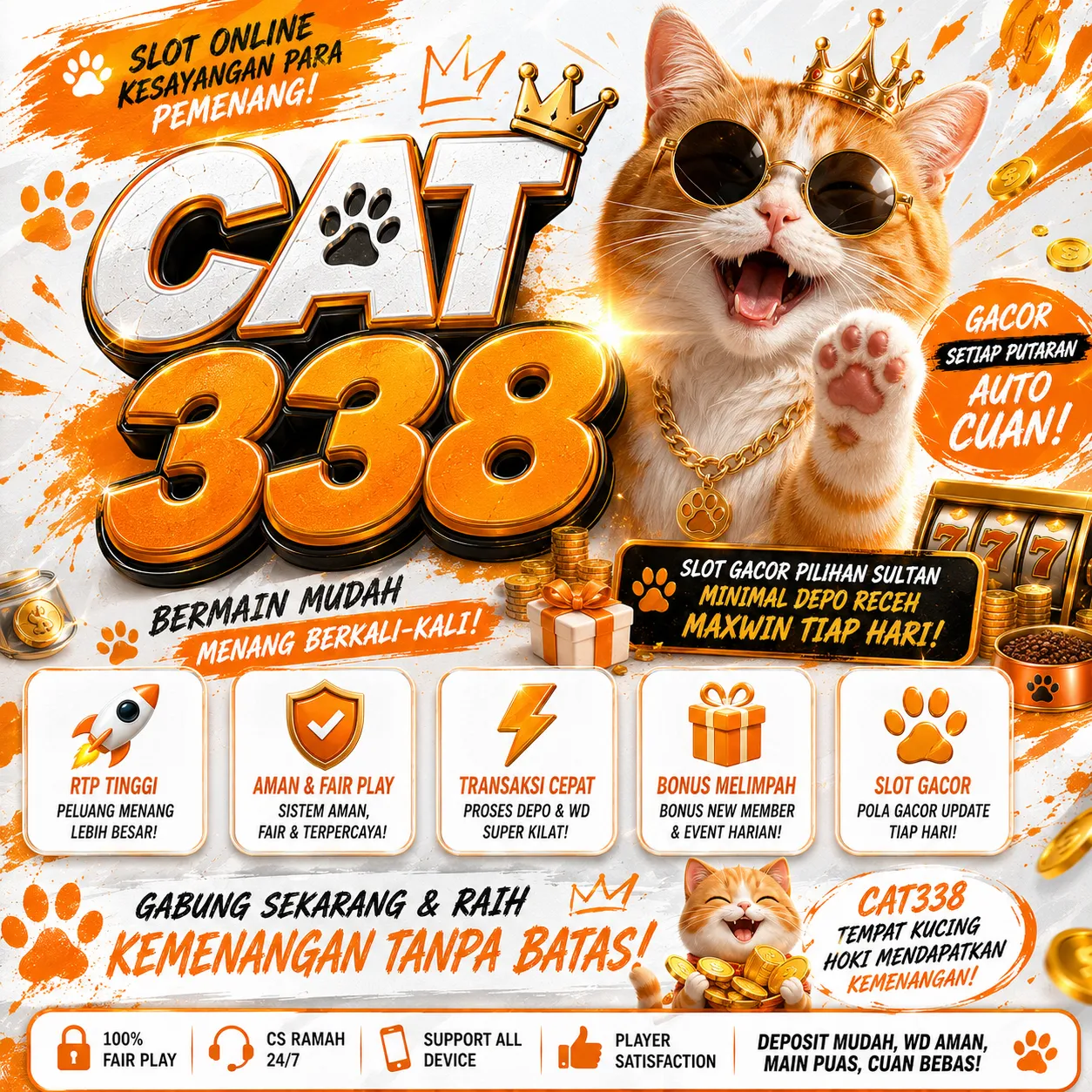 Cat338